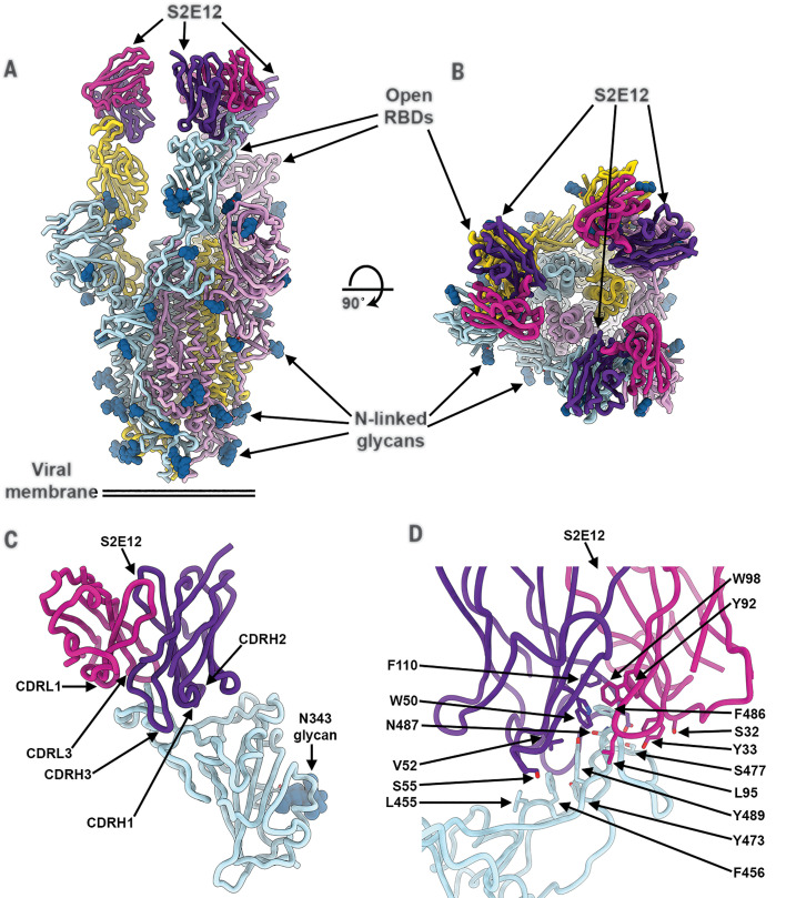 Fig. 2