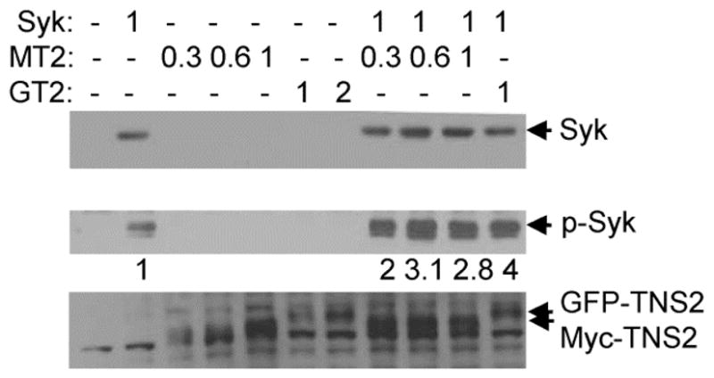 Fig. 5