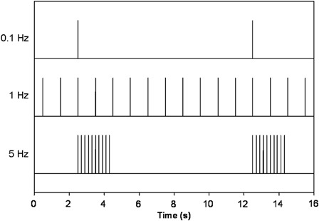 Figure 3 