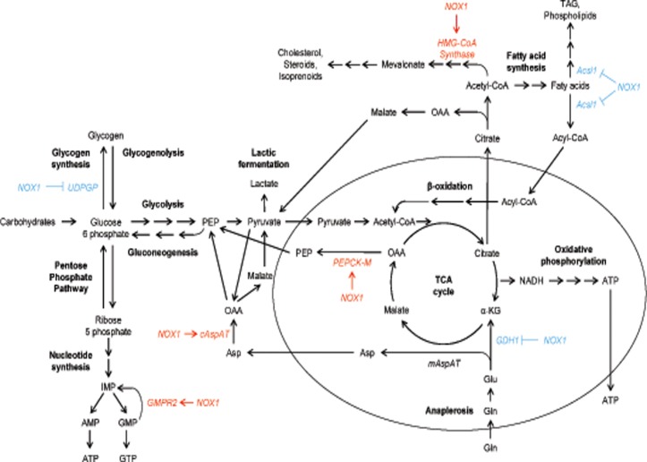 Fig 6