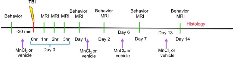 FIG. 1.