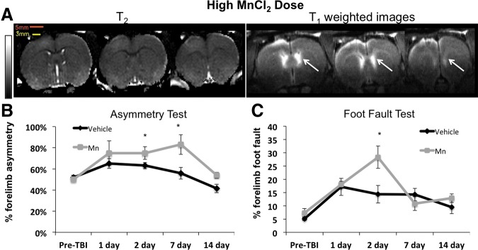 FIG. 2.