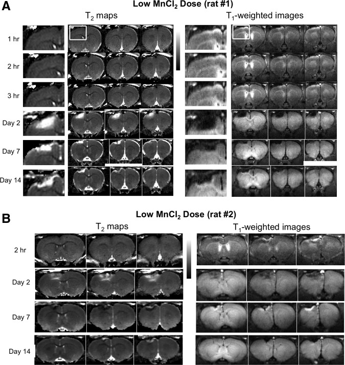 FIG. 4.