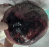 Fig. 1.