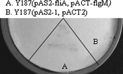 FIG. 5.