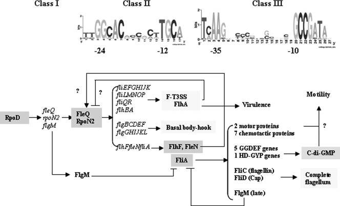 FIG. 6.