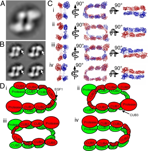 Fig. 4.