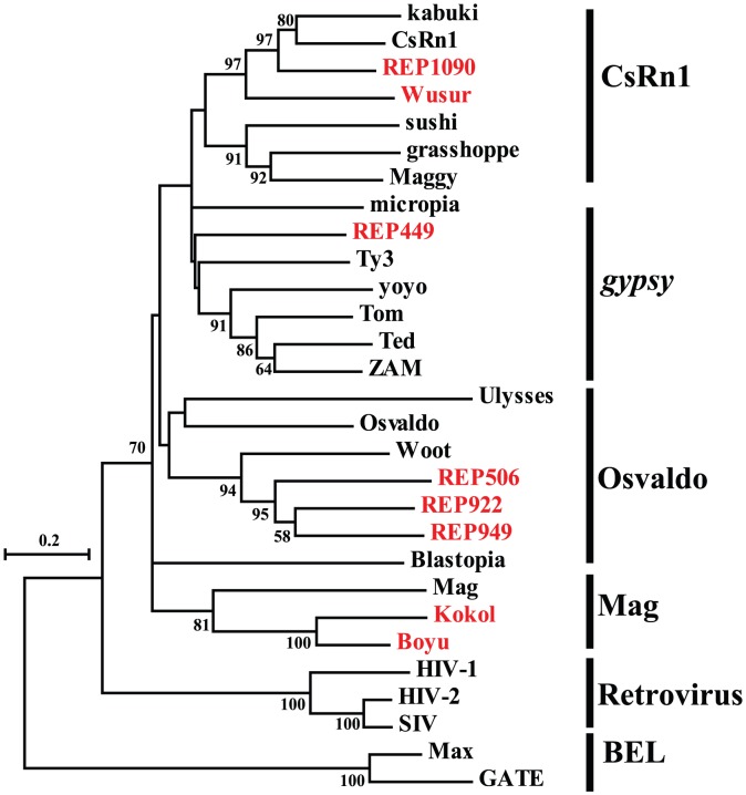 Figure 4