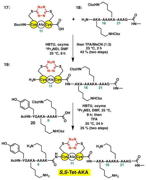 Scheme 6