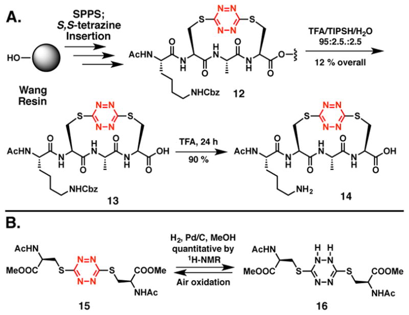 Scheme 5