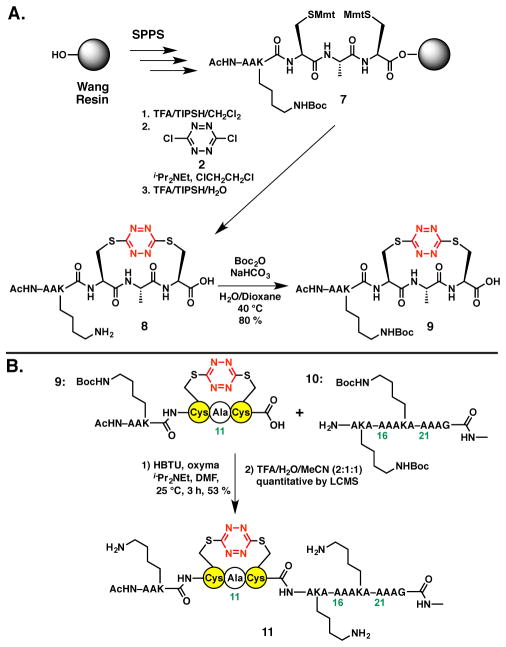 Scheme 4