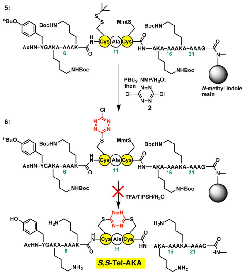 Scheme 3