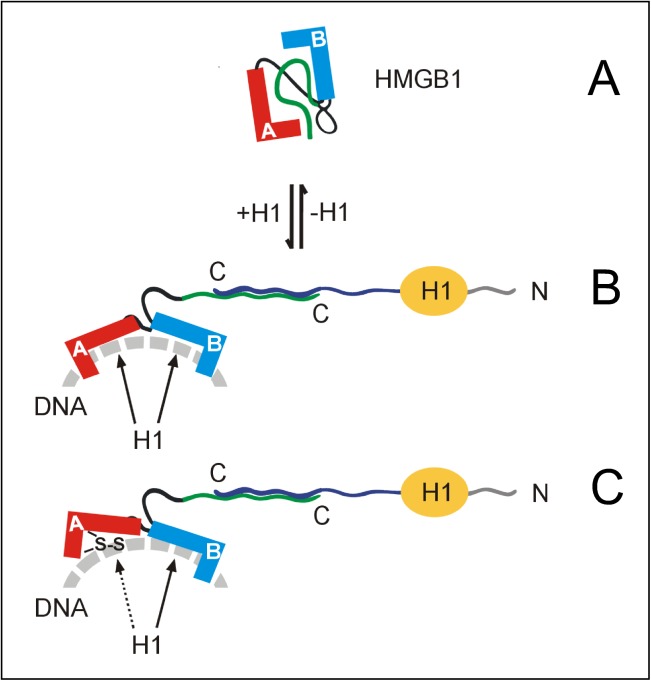 Fig 8