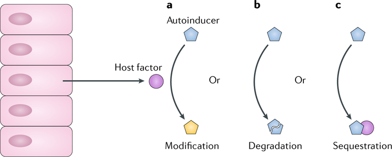 Fig. 6 |