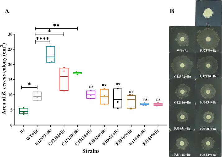 Fig 6