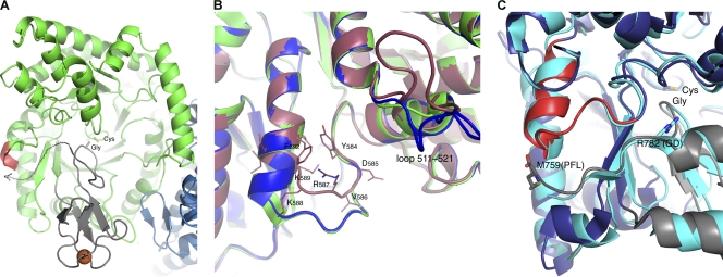 Fig. 7.