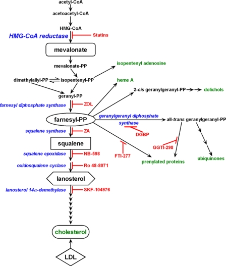 FIGURE 1.