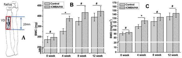 Fig. 11