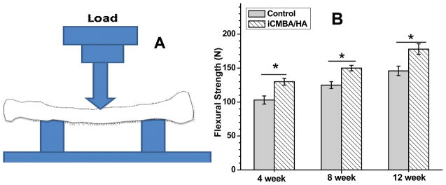 Fig. 12