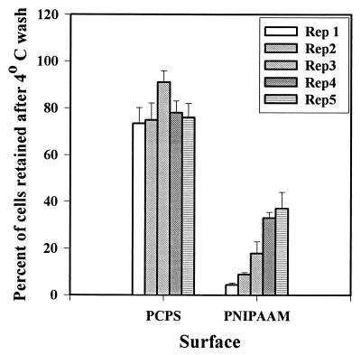 FIG. 5