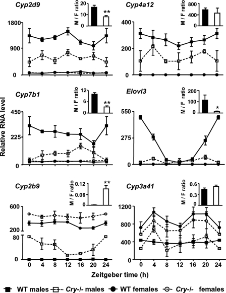 FIGURE 1.