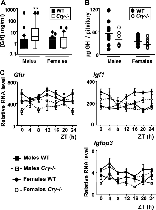 FIGURE 4.