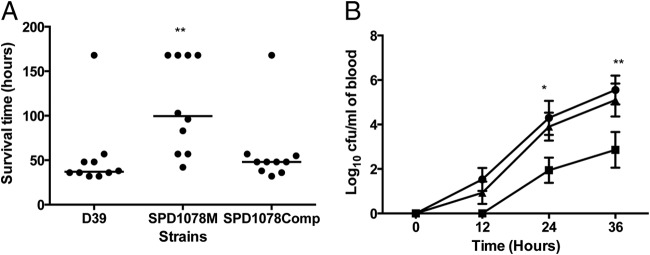 FIG 5