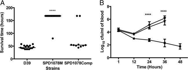 FIG 6