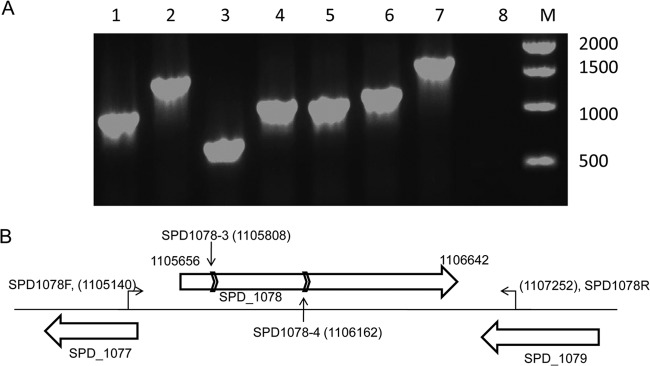 FIG 2