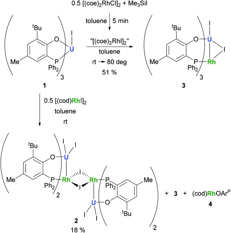 Scheme 1