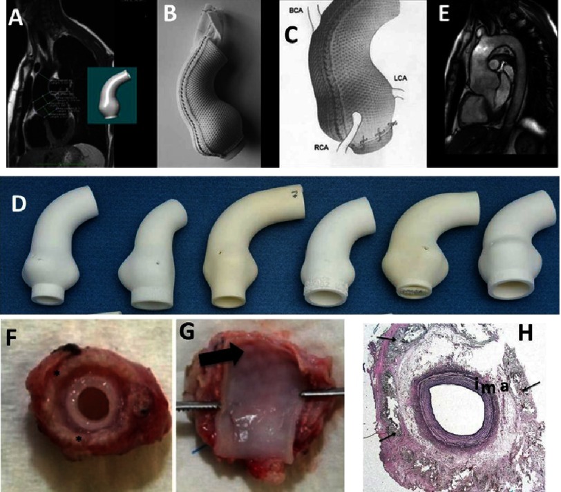 Figure 13.