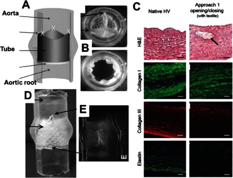 Figure 16.