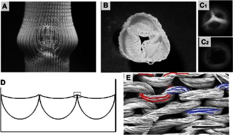 Figure 14.