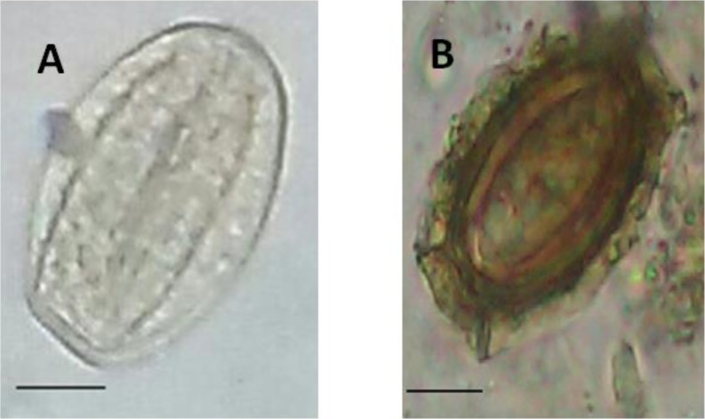 Fig. 2: