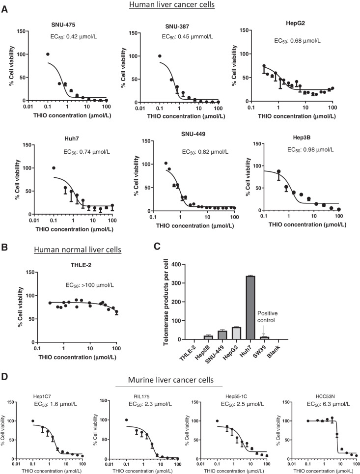 Figure 1. THIO shows potent activity against telomerase positive human and murine HCC Cells. A and B, Cell viability of human liver cancer and normal epithelial cells treated with the indicated concentrations of THIO for 3 to 5 days. C, Telomerase activity of human liver cancer and normal epithelial cells. D, Cell viability of murine HCC cells treated with the indicated concentrations of THIO for 3 to 5 days. Cell viability was measured using the CellTiter-Glo Assay. Samples were analyzed in duplicate or triplicate, and EC50 values were calculated using Graphpad Prism.