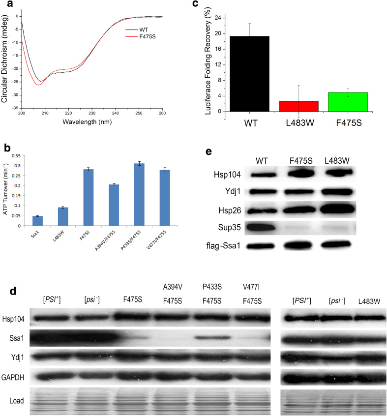 Fig. 4