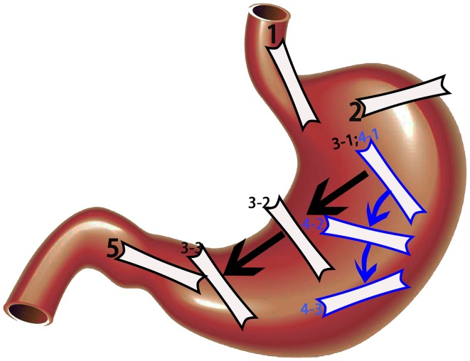 Fig. 1