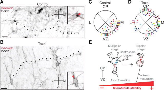 Figure 10.