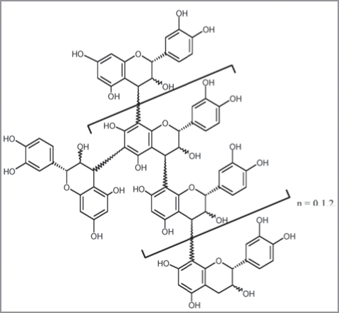 graphic file with name omcl0205_0322_fig005.jpg