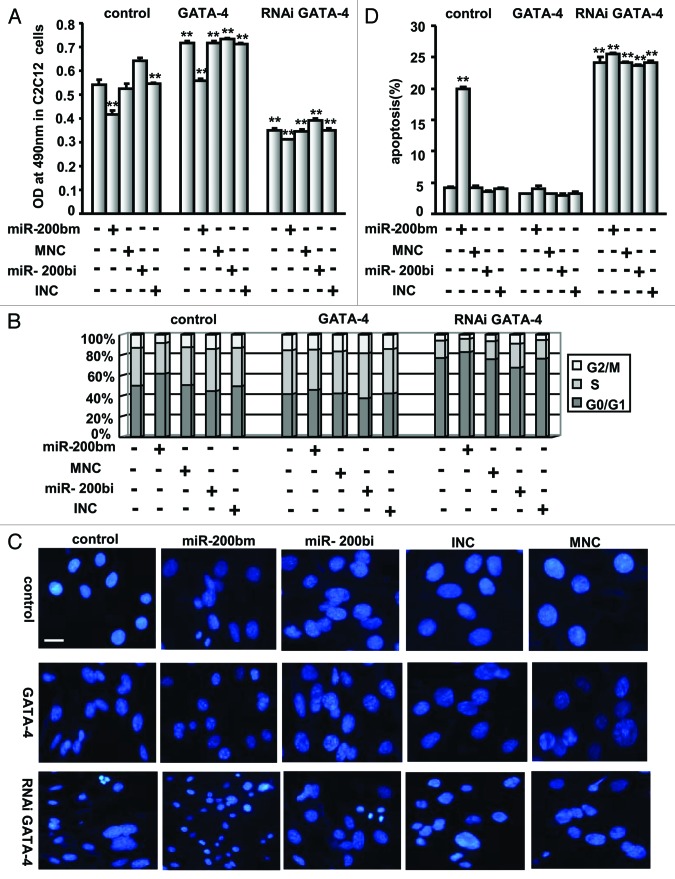 graphic file with name rna-10-465-g5.jpg