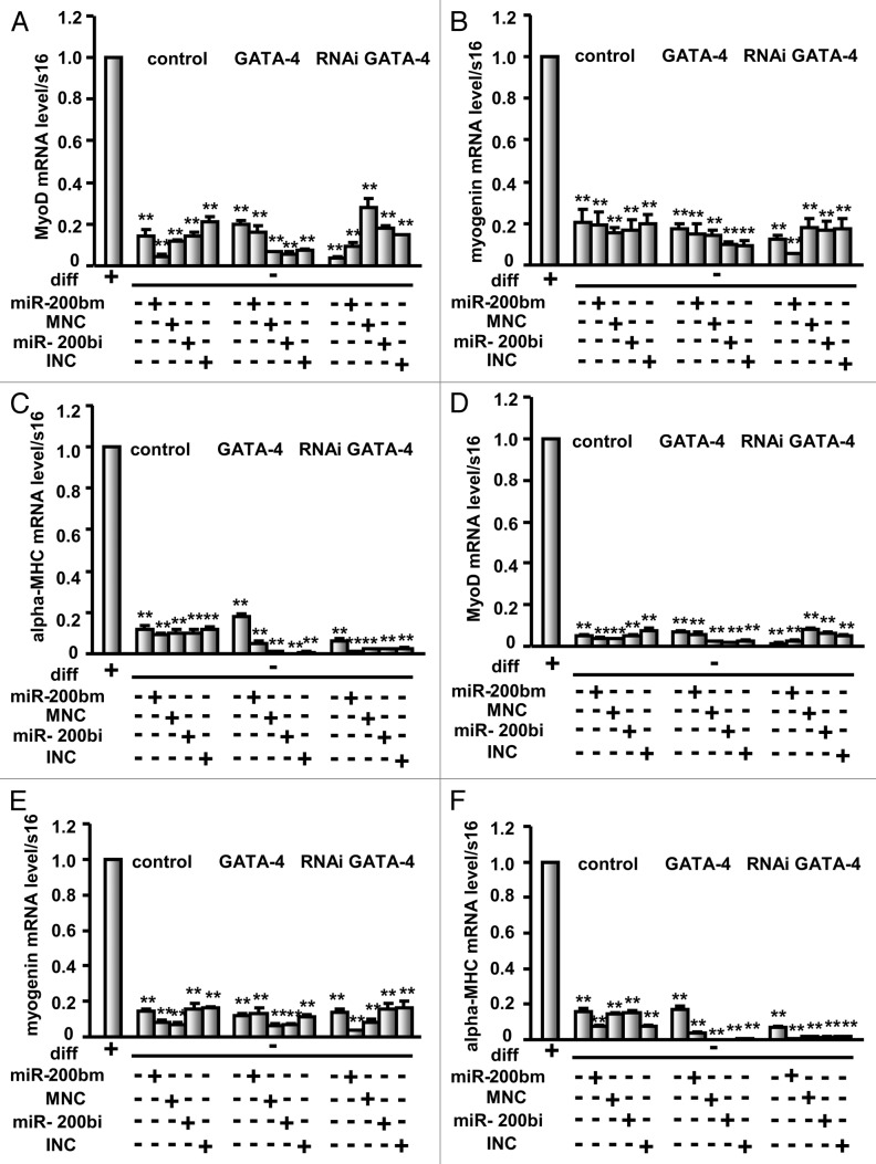 graphic file with name rna-10-465-g6.jpg