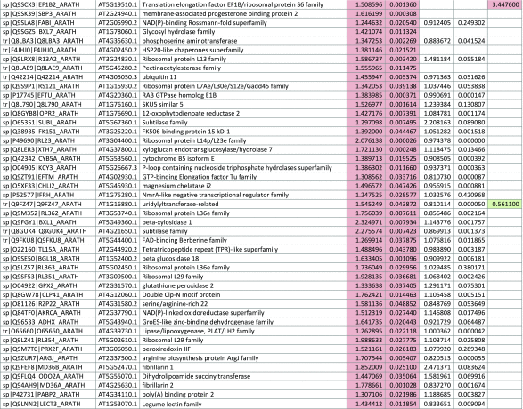 graphic file with name inl-11.gif