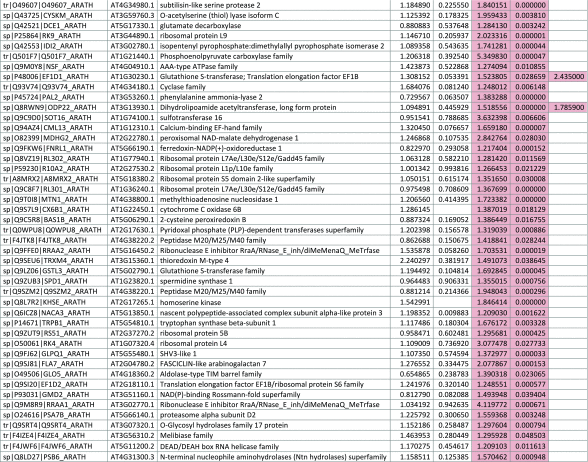 graphic file with name inl-2.gif