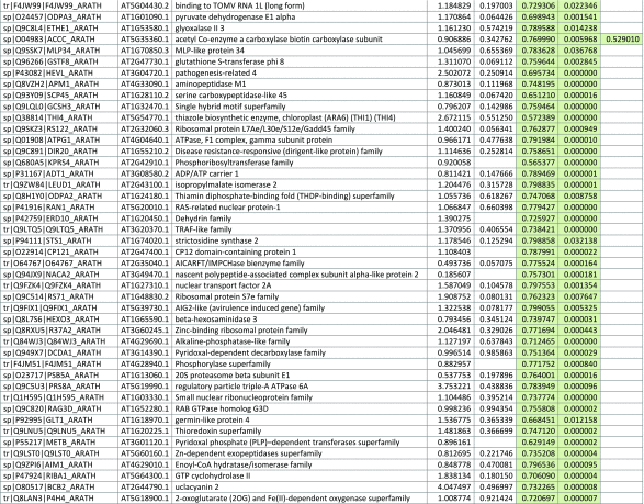 graphic file with name inl-7.gif