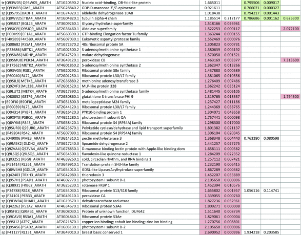 graphic file with name inl-9.gif