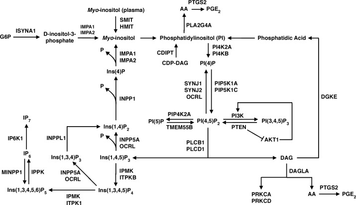 Fig 1