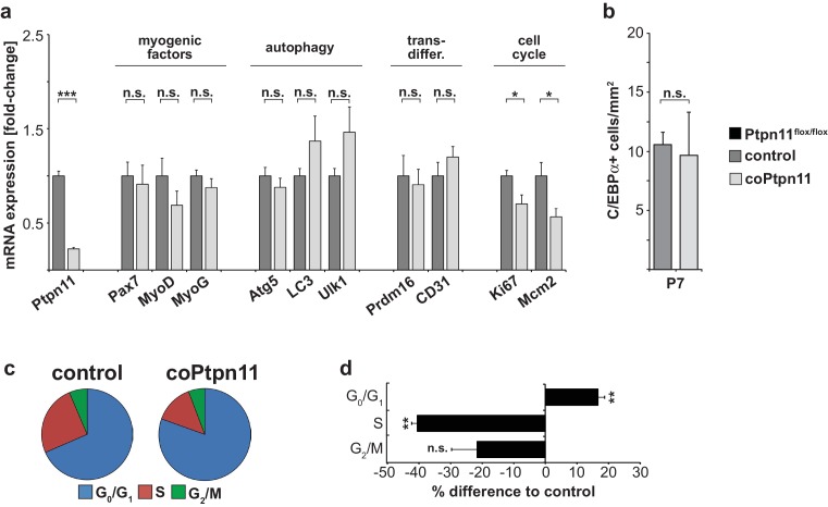 Figure 2—figure supplement 2.