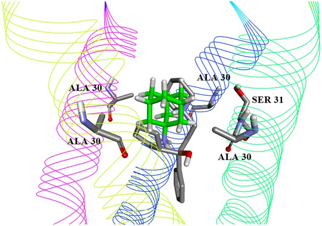 Figure 2