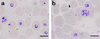 FIG. 5