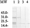 FIG. 6
